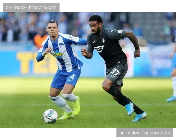 从替补到核心：霍芬海姆球员普拉滕哈特的赛季蜕变之路