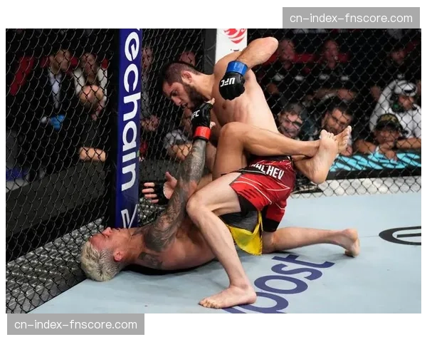 奇马耶夫卫冕战：摔跤技巧对阵斯特里克兰刺拳，风格鲜明对决